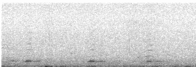 Beltxarga oihularia - ML614298364