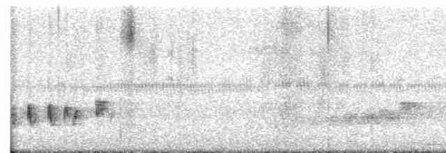 Buff-collared Nightjar - ML614303621