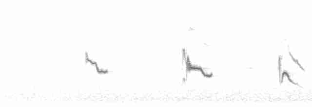 Уздечковый овсяночник (xanthogramma) - ML614305691