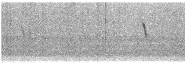 Lavandera Cetrina (de dorso gris) - ML614309835