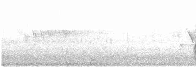 Alpenkrähe [pyrrhocorax-Gruppe] - ML614309977