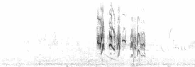 Чечевичник малиновокрилий (підвид sanguineus) - ML614310098