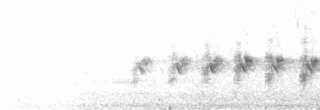 Снежный вьюрок - ML614310103