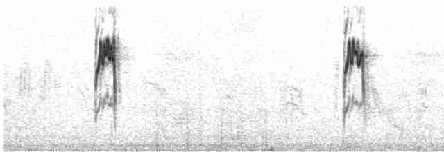 Dağ İncirkuşu (coutellii) - ML614310188