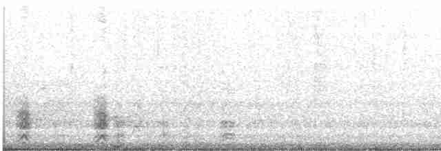 Gray-crowned Babbler - ML614310650