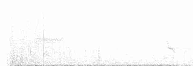 Tawny-bellied Babbler - ML614319112