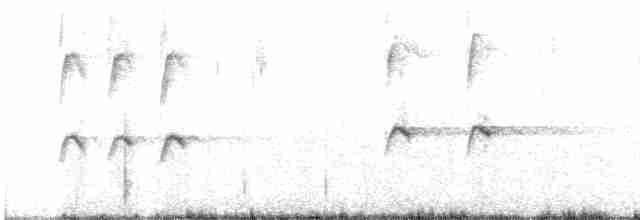 svarthettehonningeter - ML614325238