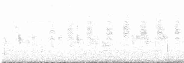 Braunaugenvireo (bellii/medius) - ML614325473