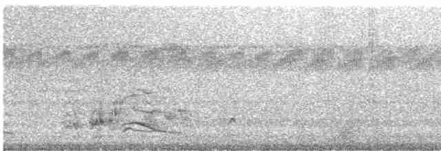 Сероголовая яху - ML614326112