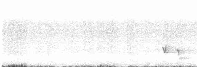 White-eared Honeyeater - ML614326835