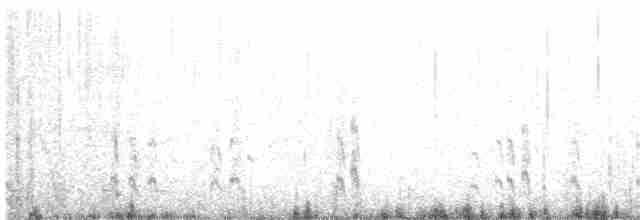 Плавунець плоскодзьобий - ML61432711