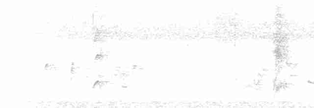 Кратеропа сіролоба - ML614329430