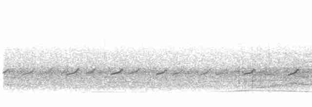 Long-billed Plover - ML614330322