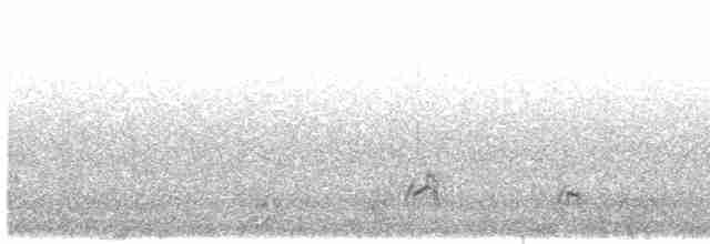 Snow Partridge - ML614330359