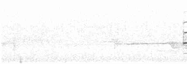 Long-billed Wren-Babbler - ML614330420