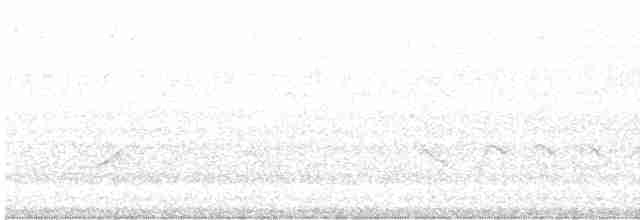 volavka bělokrká - ML614330624