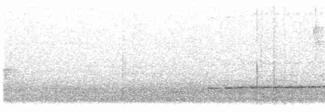 Buff-chested Babbler - ML614330913