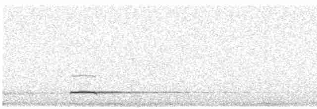 Сичик-горобець євразійський - ML614331791