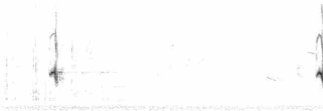 Вівсянка сіра (підвид semenowi) - ML614331924