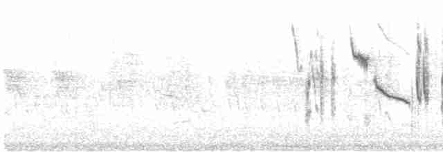 pěnice černolící (ssp. rubescens/turcmenica) - ML614332175