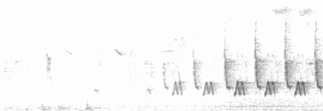 זמיר הירדן (מערבי) - ML614332384