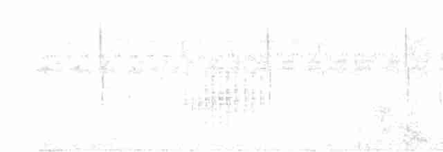 矛斑蝗鶯 - ML614333492