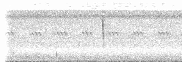 Paruline vermivore - ML614334834