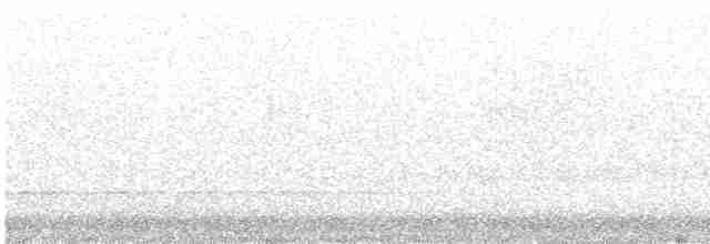 Віялохвіст сірий - ML614336610