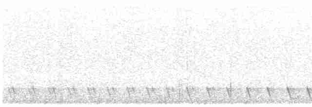 Gray Nightjar - ML614338221