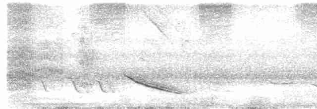Зернолуск сірий - ML614338783