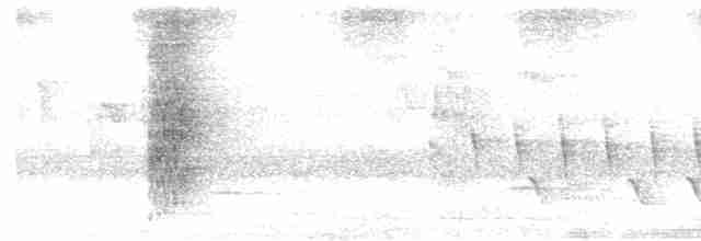 Bluish-gray Saltator - ML614338784