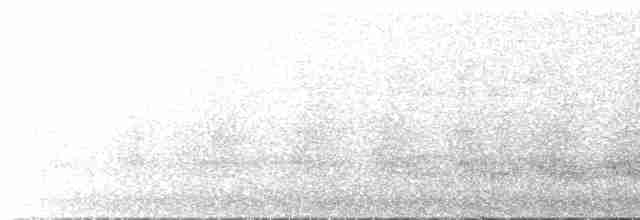 Волнистый скрытохвост - ML614341248