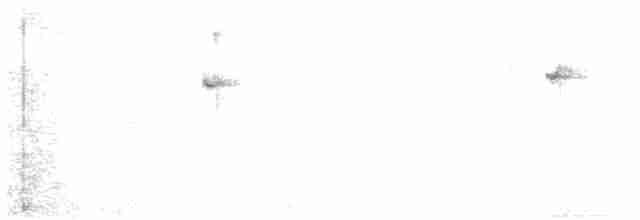 Колібрі-самоцвіт синьогорлий - ML614341998
