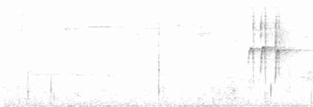 Strichelkopf-Ameisenfänger - ML614342870