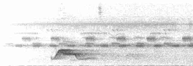 Pauraquenachtschwalbe - ML614343001