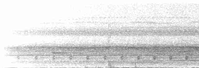 Tinamou à petit bec - ML614344842