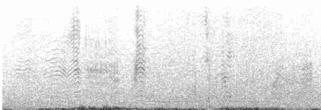 Буревісник cередземноморський (підвид borealis) - ML614347262