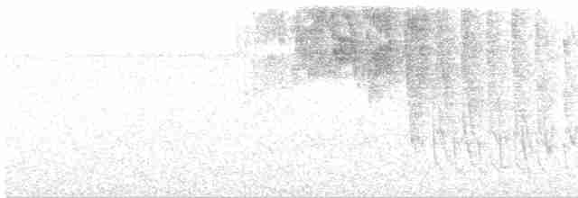 Gray-headed Tanager - ML614349285