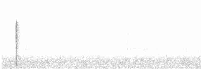Гребенечуб андійський - ML614351262