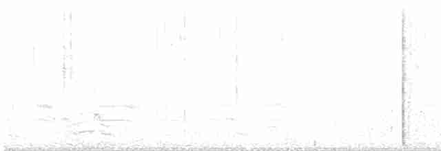 Ara hyacinthe - ML614351643