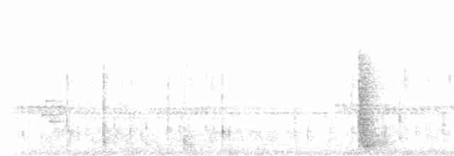 puštík černopásý [nepopsaná forma z mlžného lesa] - ML614351996