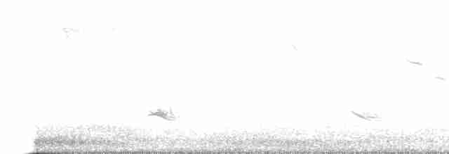 Eurasian Bullfinch - ML614352041