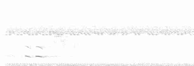 tukan žlutohrdlý (ssp. ambiguus/abbreviatus) - ML614352241