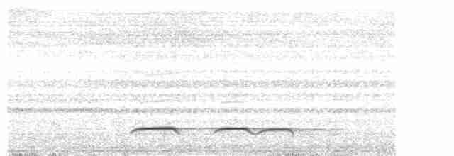 Tinamou élégant - ML614355346