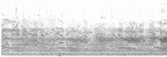 Common Tern - ML614357268