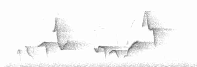 Gri Göğüslü Çıtkuşu (leucophrys/boliviana) - ML614357283