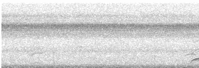 holub smaragdový - ML614358728
