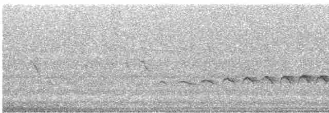Черноухий медосос - ML614358844