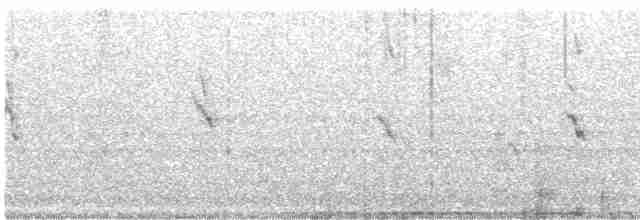 Черноухий медосос - ML614358845