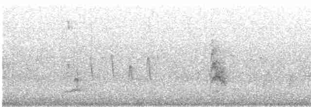 Черноухий медосос - ML614358984